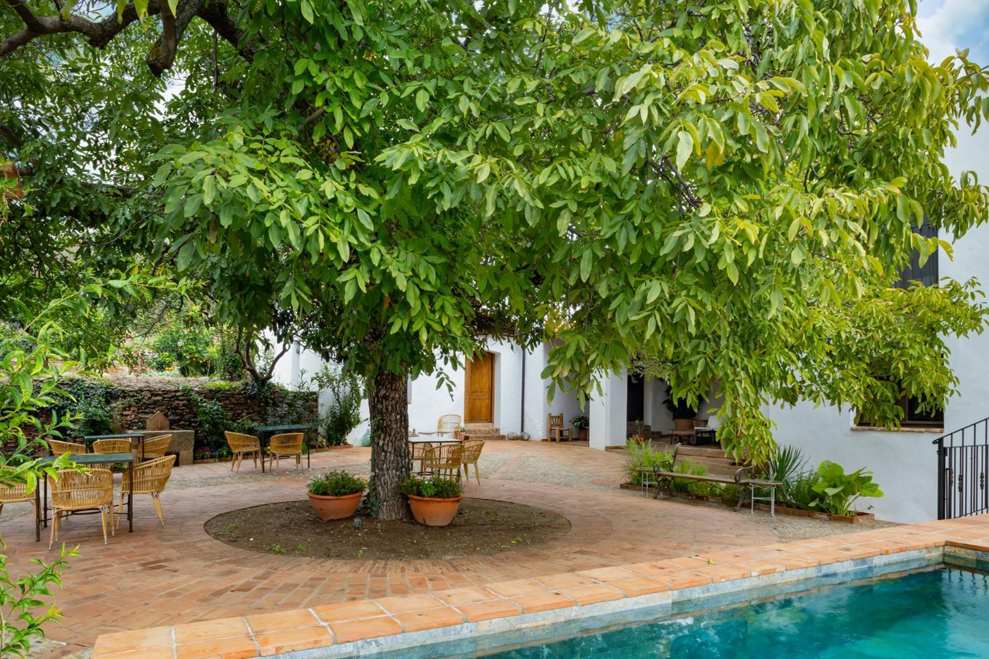 Apartamentos Turisticos El Patio Del Nogal Guadalupe  Kültér fotó